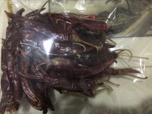 Quality High Fruitiness Erjingtiao Dried Chilis For Chili Oils Ingredients wholesale
