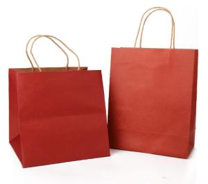 Quality Biodegradable CMYK Color Foldable Paper Bag wholesale