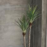 120cm Artificial Plant Faux Bonsai Dracaena Anti UV Plastic Leaves