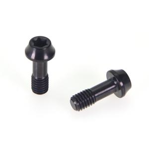Quality Black PVD Decorative Screws Non Standard Head Stainless Steel Screws Treated Torx Slot wholesale