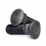 Grade 10.9 M8 Black Alloy Steel Bolt Square Neck