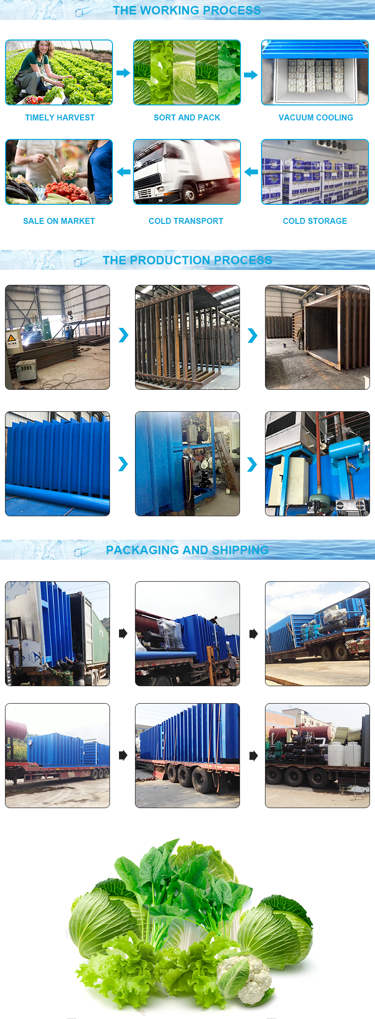 10 Pallets Vacuum Cooling Machine , Vacuum Cool Chamber For Vegetables