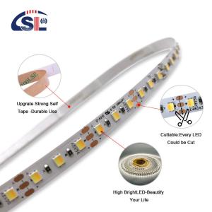 Quality 2835 CCT LED Strip 120Leds/m Dual White Color Temperature Adjustable Flexible Tape wholesale