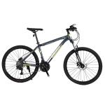 Double Wall Rim Cnc Lady Mountain Bike for Smart Riding Yinxing Hydrallic Disc