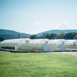 Quality High Tunnel Plastic Polyhouse Multi Span Greenhouse Agriculture Complete System wholesale