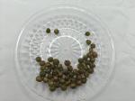 Black Gold Garlic Infused Emerald Green Soybeans