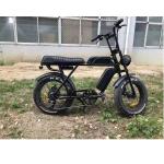 48v 500w E Bike 2 Seat Fast Speed Electric Snow Beach Bicycle with Customized