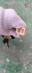 Z8710-04110 Ignition Switch for forklift