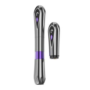 Quality Silver Charme Princesse Permanent Makeup Machine Eyebrow Eyeline Lip Pmu Machine wholesale