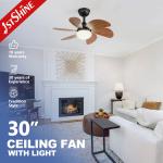 1stshine/OEM Logo 6 Blades LED Light Kit Residential BLDC Ceiling Fan with 2-