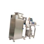 P307 Stainless steel 304 single Line Fruit Bar Making Machine
