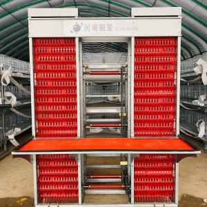 Quality Layer Chicken Poultry Cage Cold Galvanized Steel Wire Mesh wholesale