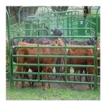 8ft Height Agriculture Field 100m Veld Span Field Fence for Outdoor Animal