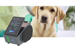 Quality Handheld Veterinary Laser Therapy Machine 915nm Class 4 Medical Laser wholesale