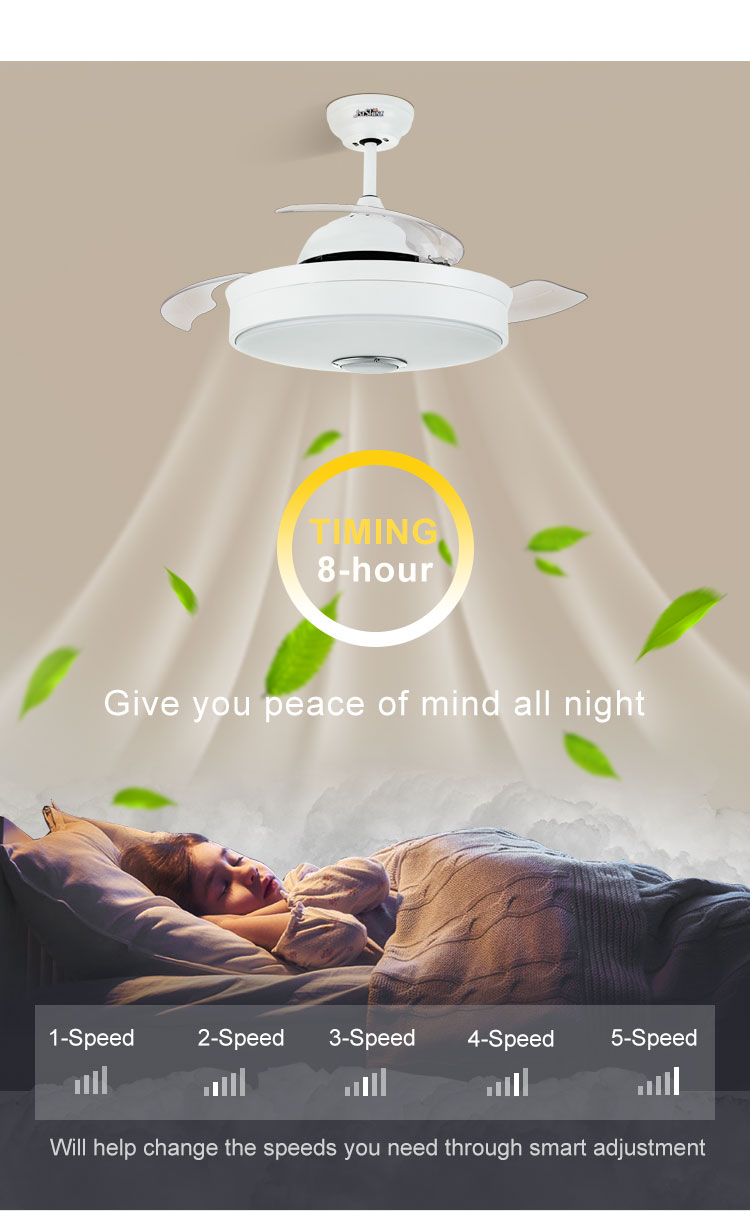 Hidden Blades Ceiling Fan with 5 Speeds and Modern Design in Black/White/Multi Colors