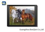 Horse Stock Free Sample Poster With MDP Frame , Pet Lenticular 3d Pictures For