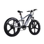 Weldless Frame Electric Fat Tire Bike Full Suspension 750W 26 Inch Fat Tire