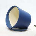 Unique Ceramic Pots For Distinctive And Eye-catching Plant Collection