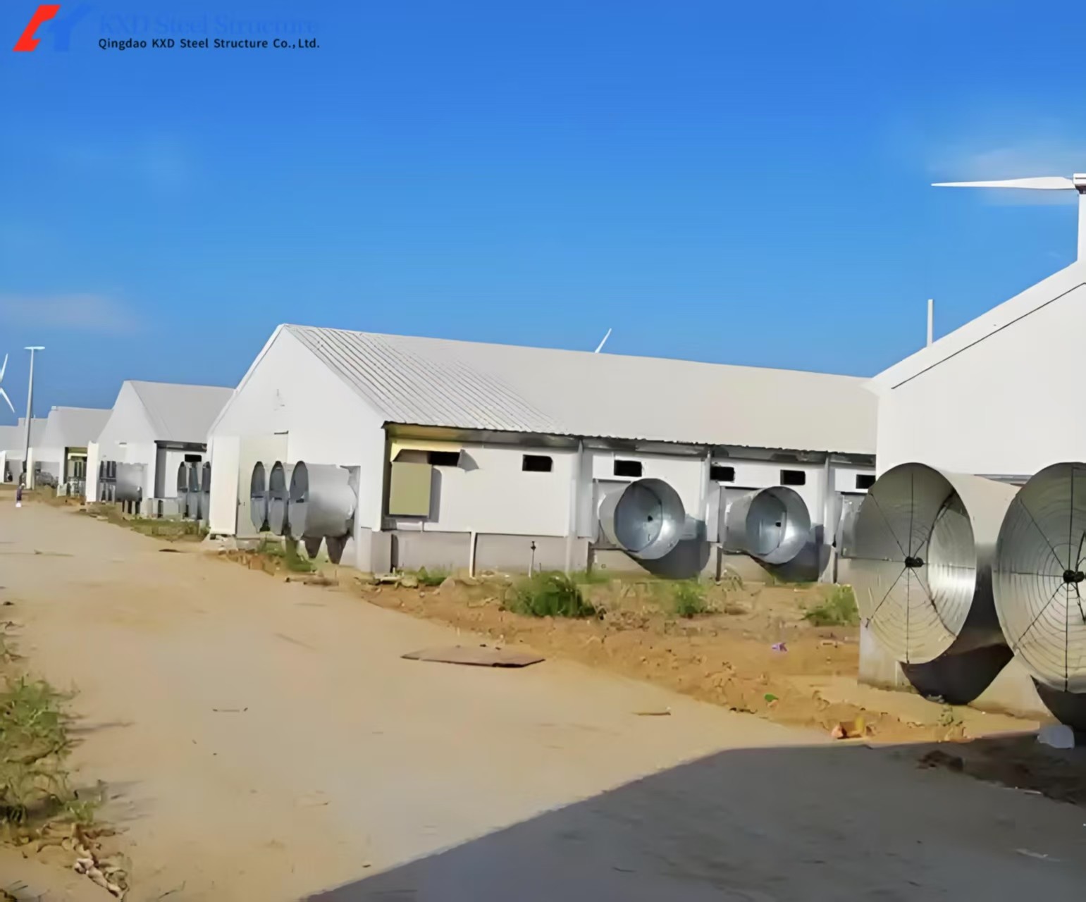 Automatic Poultry Farm Chicken House Feeding Line A Type Layer Chicken Cage Equipment