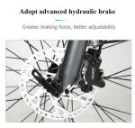 Adult Electric City Bike 30 - 50Km/h 48V 500W Motor 17Ah Lithium Battery Ebike