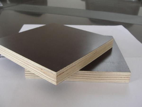 4x8ft construction shuttering plywood /film faced plywood for construction&real