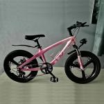 21 Speed Lightweight Mountain Bike Aluminum Alloy Frame 27.5 Inch MTB Bike