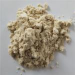 avocado powder buy best dried avocado powder health benefits supplement products