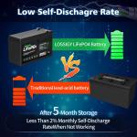 Lightweight 12V 8Ah LiFePO4 Battery / Deep Cycle Rechargeable Battery MSDS