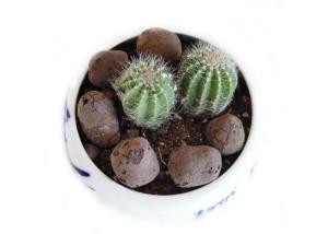 Quality 3-30 mm Hydroponic Growing Medium For Water Treatment Ceramic Grain Filters wholesale