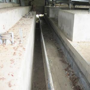 Quality Automated Livestock Poultry Manure Removal System Hot Dipped Galvanized wholesale