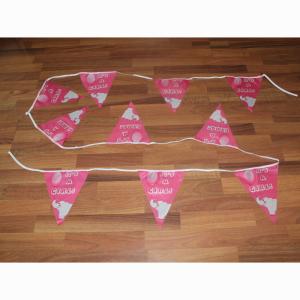 Quality Happy Birthday Triangle Flag Bunting It is a girl wholesale