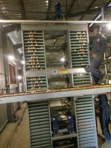 Quality H Shaped Egg Layer Cages Small Stacked Battery Cage System wholesale