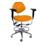 Ergonomic Design Dental Assistant Chair 5 Universal Wheels Dentsit Stool With