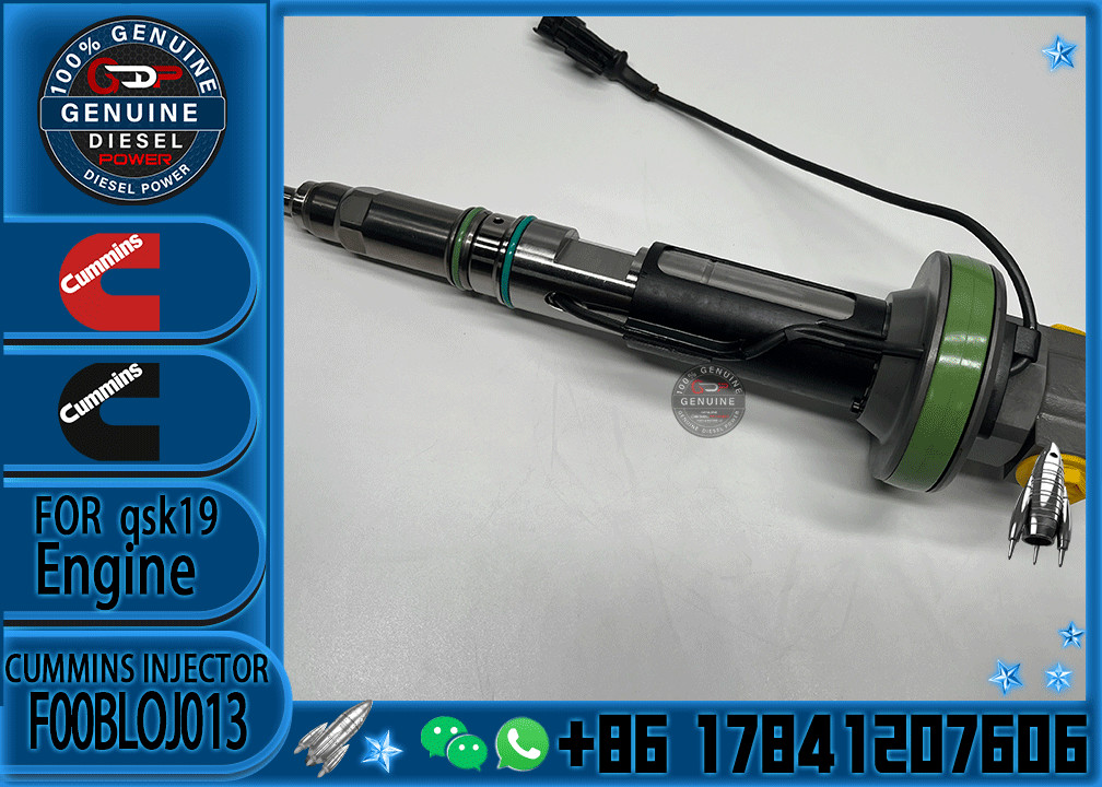 Common Rail Engine Accessories Diesel Injector 4964172 FOOBLOJ013 F00BLOJ013 FOR QSK38/50