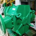 Replace ITT LOWARA Pump , NBR Rotors Sludge Return Rotary Lobe Pump