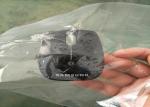 Mouse Liquid Crystal Display Protective Biodegradable Plastic Film PLA All
