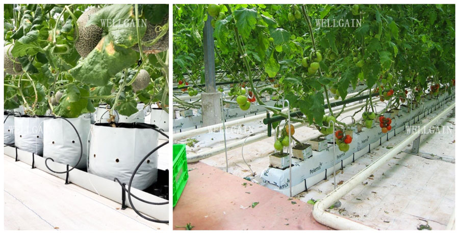 Hydroponics Planting Trough PP Roll Drain Spacer Folding Planter Gutter For Agriculture