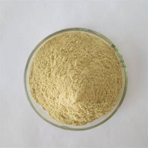 Quality GMP Factory Detoxification Mung Bean Sprout Extract wholesale