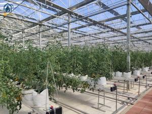 Quality Greenhouse Steel Substrate Planting Gutter Agricultural Hydroponic System For Tomatoes wholesale
