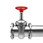 Double Flange Swing Stainless Steel Gate Check Valve for Pn16 Cast Iron Ductile