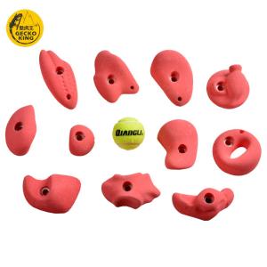 Quality GeckoKing Set of 11 Polyurethane Climbing Holds for Adult Rock Walls Durable and Materials wholesale