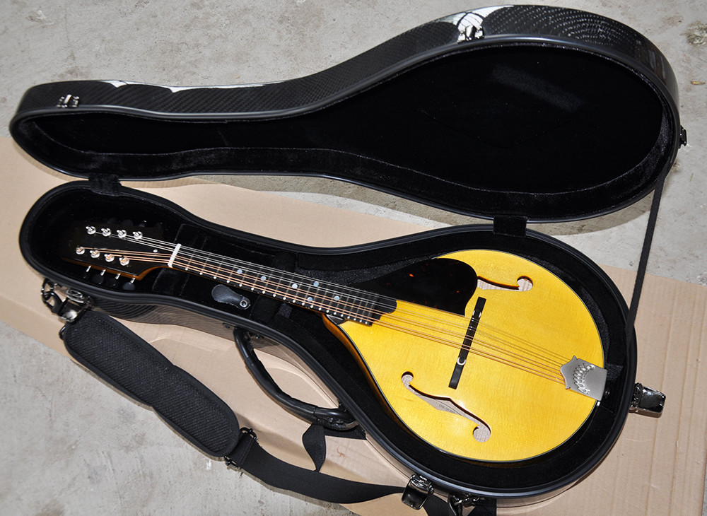 Factory custom Handmade custom advanced 8 strings mandolin electric guitar with ebony fretboard