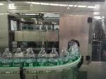 10L 1000BPH Automatic Water Bottle Filling Machine Electric Driven