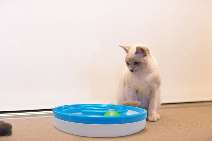 Pet Dish Cat Feeding Bowls R104 Toy Tracks Ball Sound Light With CE/ROHS Approval