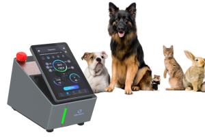 Quality 200mW Veterinary Laser Therapy Machine Neuromuscular Disease Treatment wholesale