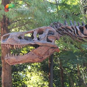 Quality Weather Resistance T Rex Skeleton Replica wholesale