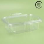 Transparent Plastic Food Storage Boxes Salad Containers BPA-Free Leakproof