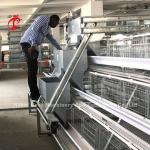 Top Layer Battery Cage System For Chicken Farming 96-200 Birds Robust Wire