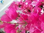 Large Artificial Flower Tree , Pink Bougainvillea Flower Tree For Wedding Party