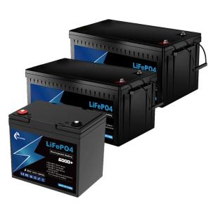 Quality 50ah 100ah 200ah 24v Lifepo4 Battery 5120Wh Lithium Battery Rechargeable wholesale